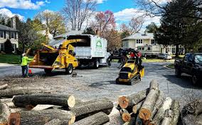 Best Commercial Tree Services  in Lakesite, TN